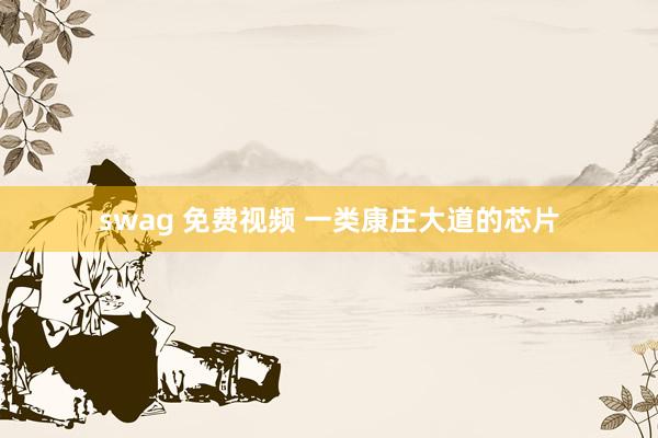 swag 免费视频 一类康庄大道的芯片