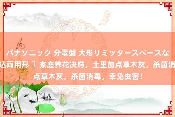 パナソニック 分電盤 大形リミッタースペースなし 露出・半埋込両用形 ​家庭养花决窍，土里加点草木灰，杀菌消毒，幸免虫害！