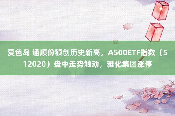 爱色岛 通顺份额创历史新高，A500ETF指数（512020）盘中走势触动，雅化集团涨停