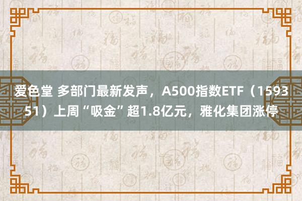 爱色堂 多部门最新发声，A500指数ETF（159351）上周“吸金”超1.8亿元，雅化集团涨停