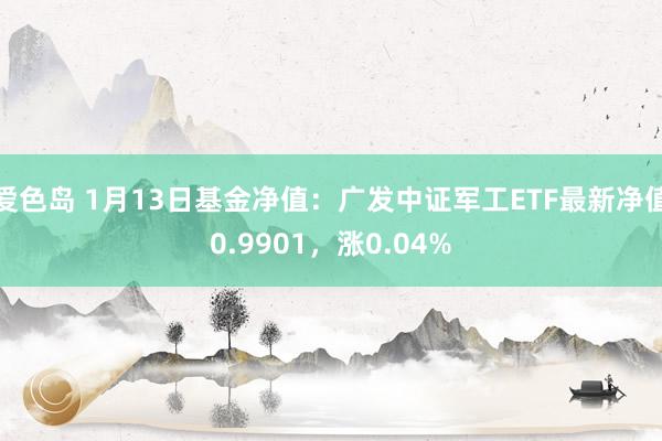 爱色岛 1月13日基金净值：广发中证军工ETF最新净值0.9901，涨0.04%