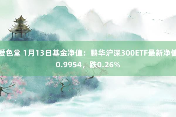 爱色堂 1月13日基金净值：鹏华沪深300ETF最新净值0.9954，跌0.26%