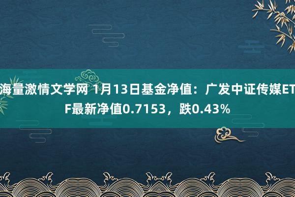 海量激情文学网 1月13日基金净值:广发中证传媒ETF最新净值0.7153,跌0.43%