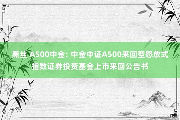 黑丝 A500中金: 中金中证A500来回型怒放式指数证券投资基金上市来回公告书
