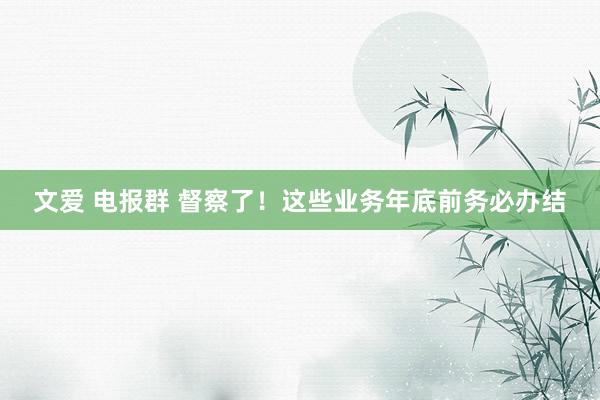 文爱 电报群 督察了！这些业务年底前务必办结
