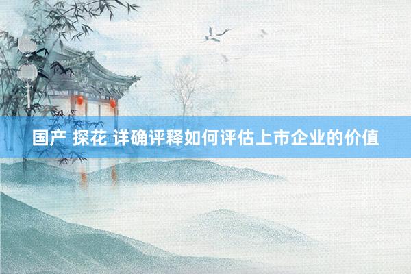 国产 探花 详确评释如何评估上市企业的价值