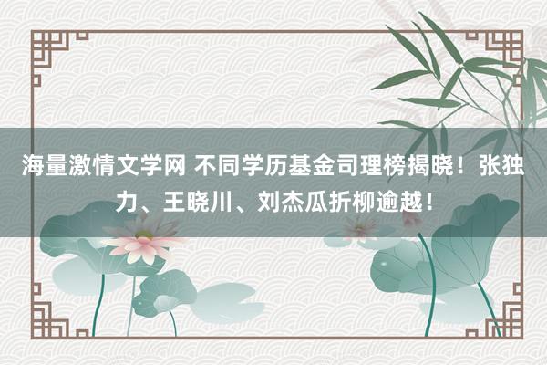 海量激情文学网 不同学历基金司理榜揭晓！张独力、王晓川、刘杰瓜折柳逾越！