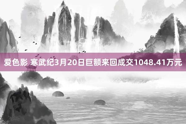 爱色影 寒武纪3月20日巨额来回成交1048.41万元