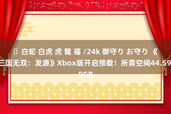 ✨白蛇 白虎 虎 龍 福 /24k 御守り お守り 《真三国无双：发源》Xbox版开启预载！所需空间