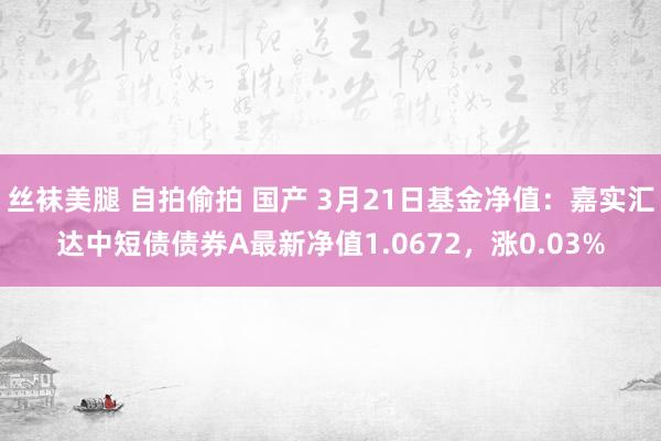 丝袜美腿 自拍偷拍 国产 3月21日基金净值:嘉实汇达中短债债券A最新净值1.0672,涨0.03%