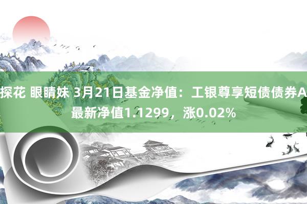 探花 眼睛妹 3月21日基金净值：工银尊享短债债券A最新净值1.1299，涨0.02%