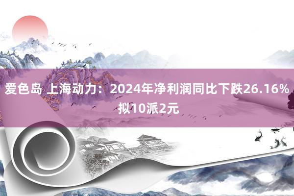 爱色岛 上海动力：2024年净利润同比下跌26.16% 拟10派2元