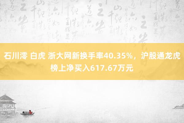 石川澪 白虎 浙大网新换手率40.35%，沪股通龙虎榜上净买入617.67万元