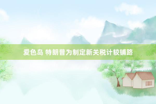 爱色岛 特朗普为制定新关税计较铺路