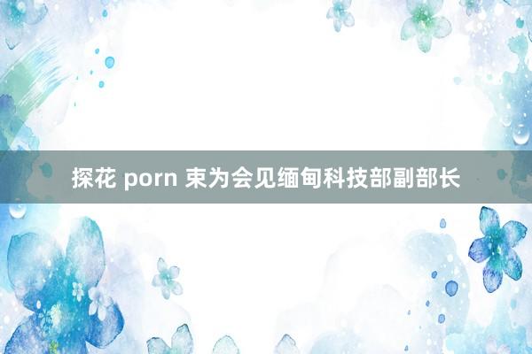 探花 porn 束为会见缅甸科技部副部长