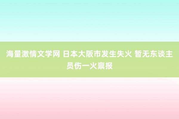 海量激情文学网 日本大阪市发生失火 暂无东谈主员伤一火禀报