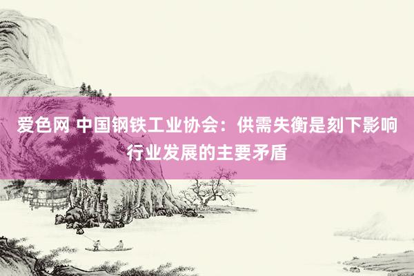 爱色网 中国钢铁工业协会：供需失衡是刻下影响行业发展的主要矛盾