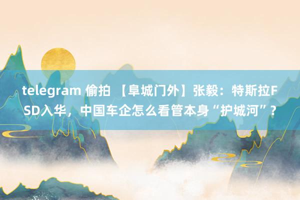 telegram 偷拍 【阜城门外】张毅：特斯拉FSD入华，中国车企怎么看管本身“护城河”？