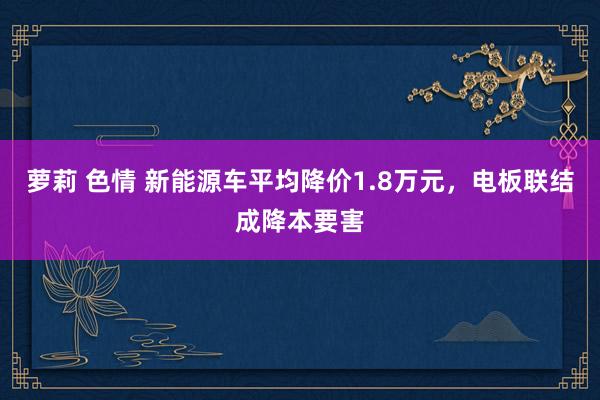 萝莉 色情 新能源车平均降价1.8万元，电板联结成降本要害