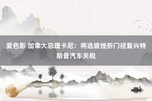 爱色影 加拿大总理卡尼：将选拔挫折门径复兴特朗普汽车关税
