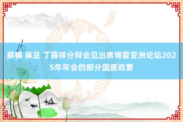 蘇暢 麻豆 丁薛祥分辩会见出席博鳌亚洲论坛2025年年会的部分国度政要