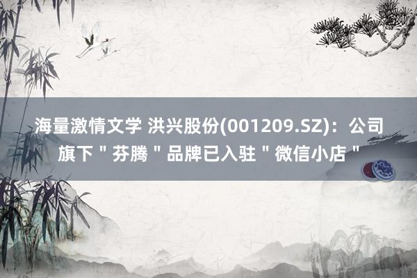 海量激情文学 洪兴股份(001209.SZ)：公司旗下＂芬腾＂品牌已入驻＂微信小店＂