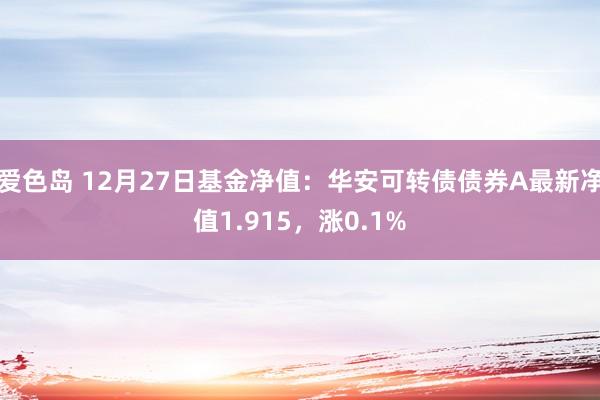 爱色岛 12月27日基金净值：华安可转债债券A最新净值1.915，涨0.1%