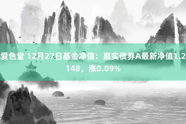 爱色堂 12月27日基金净值：嘉实债券A最新净值1.2148，涨0.09%