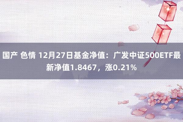 国产 色情 12月27日基金净值：广发中证500ETF最新净值1.8467，涨0.21%