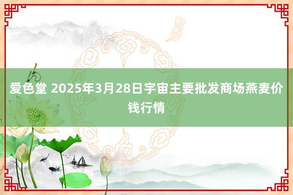 爱色堂 2025年3月28日宇宙主要批发商场燕麦价钱行情