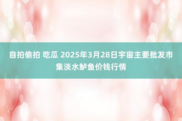 自拍偷拍 吃瓜 2025年3月28日宇宙主要批发市集淡水鲈鱼价钱行情