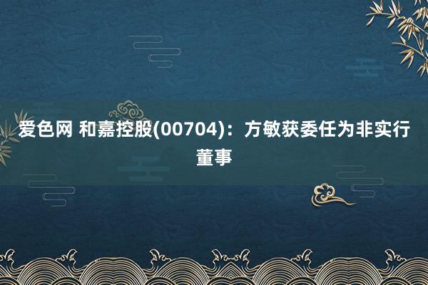 爱色网 和嘉控股(00704)：方敏获委任为非实行董事