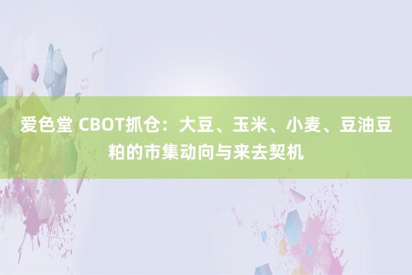 爱色堂 CBOT抓仓：大豆、玉米、小麦、豆油豆粕的市集动向与来去契机