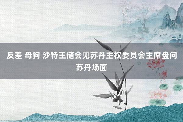 反差 母狗 沙特王储会见苏丹主权委员会主席盘问苏丹场面