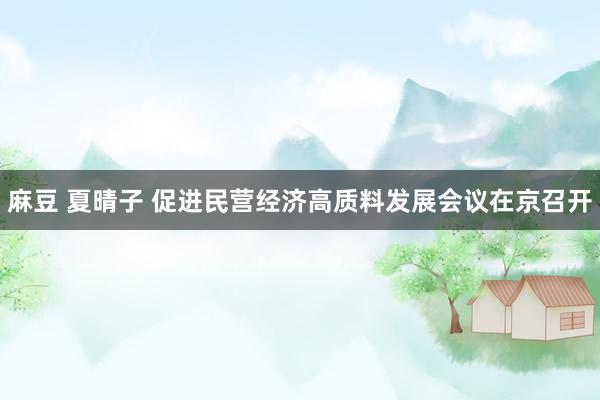 麻豆 夏晴子 促进民营经济高质料发展会议在京召开