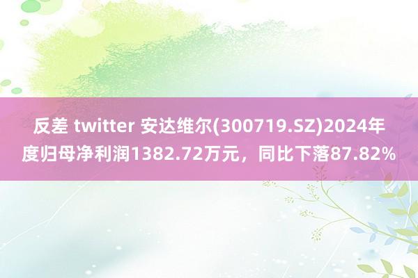 反差 twitter 安达维尔(300719.SZ)2024年度归母净利润1382.72万元，同比下