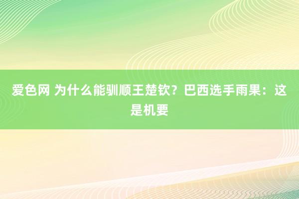 爱色网 为什么能驯顺王楚钦？巴西选手雨果：这是机要