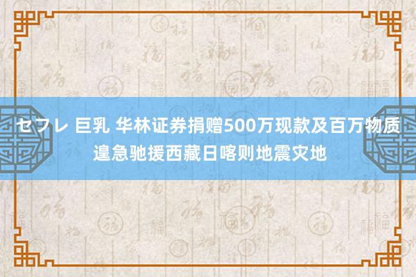 セフレ 巨乳 华林证券捐赠500万现款及百万物质 遑急驰援西藏日喀则地震灾地