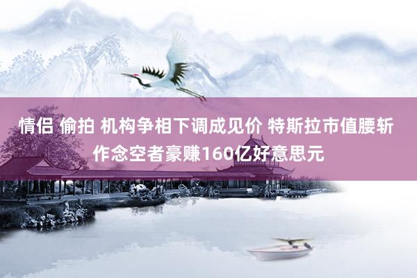 情侣 偷拍 机构争相下调成见价 特斯拉市值腰斩 作念空者豪赚160亿好意思元