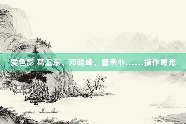 爱色影 葛卫东、邓晓峰、董承非……操作曝光