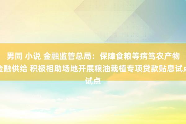 男同 小说 金融监管总局：保障食粮等病笃农产物金融供给 积极相助场地开展粮油栽植专项贷款贴息试点
