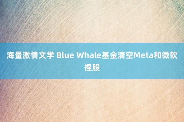 海量激情文学 Blue Whale基金清空Meta和微软捏股