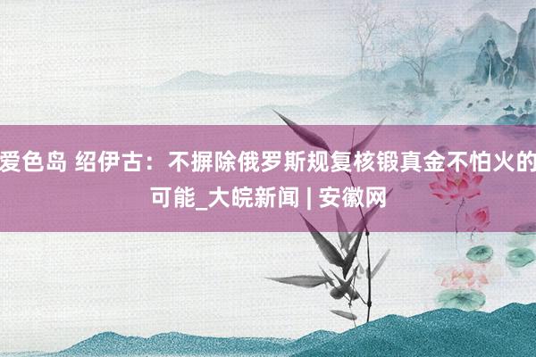 爱色岛 绍伊古：不摒除俄罗斯规复核锻真金不怕火的可能_大皖新闻 | 安徽网