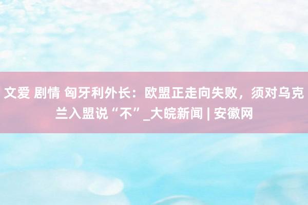 文爱 剧情 匈牙利外长：欧盟正走向失败，须对乌克兰入盟说“不”_大皖新闻 | 安徽网